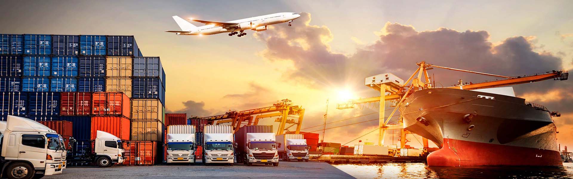 Packers and Movers Raipur